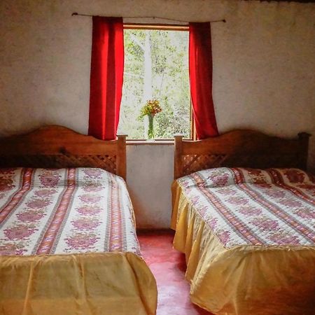 Cabanas Tonina Kayab オコシンゴ エクステリア 写真