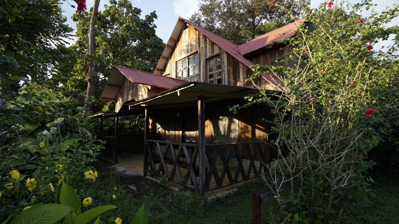 Cabanas Tonina Kayab オコシンゴ エクステリア 写真