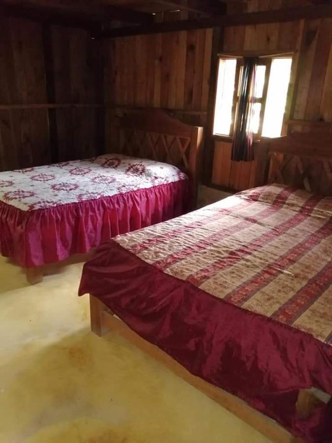 Cabanas Tonina Kayab オコシンゴ エクステリア 写真