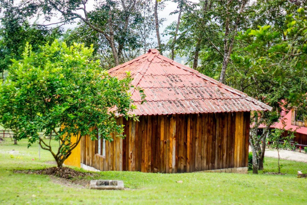 Cabanas Tonina Kayab オコシンゴ エクステリア 写真