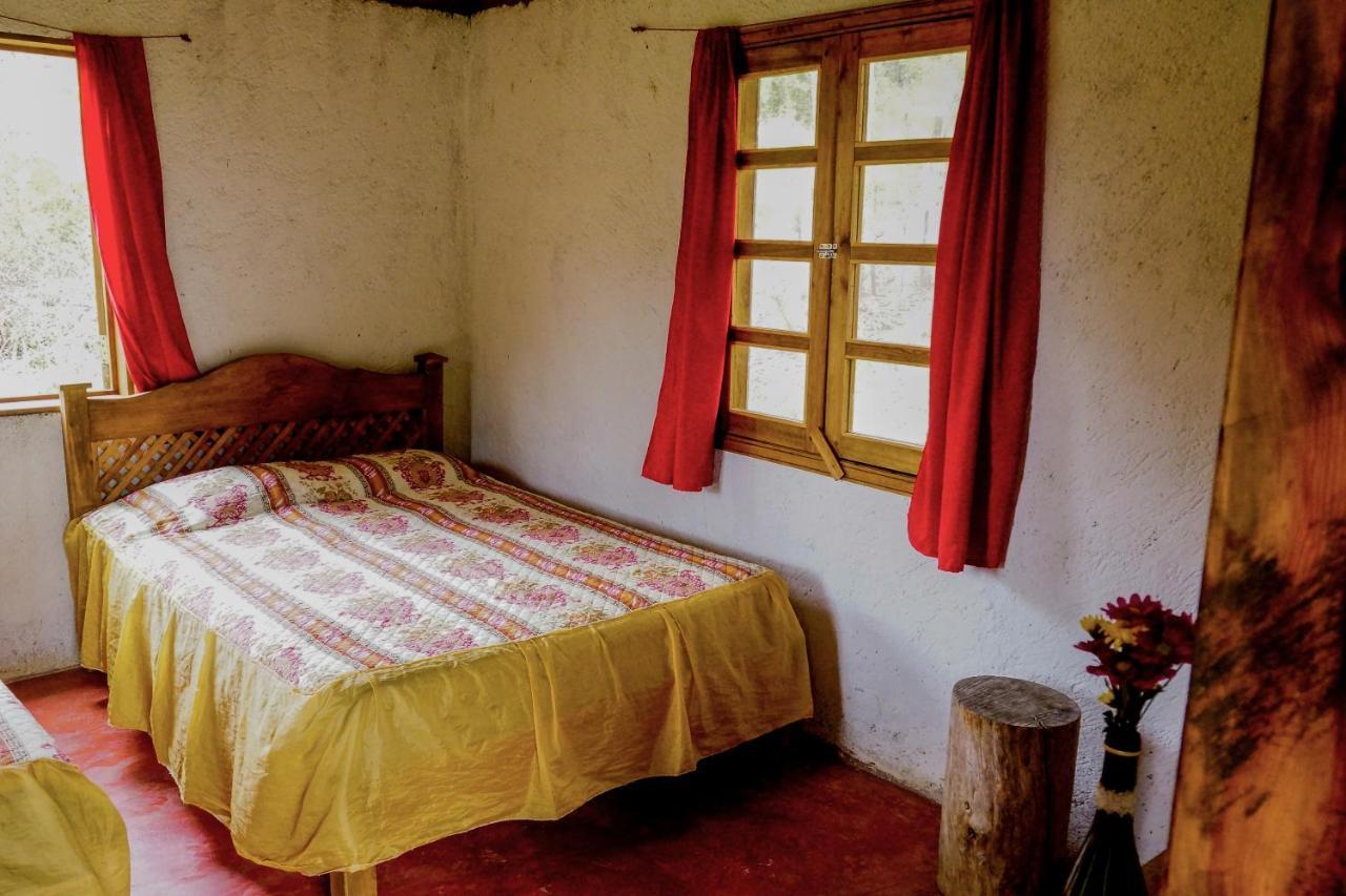 Cabanas Tonina Kayab オコシンゴ エクステリア 写真
