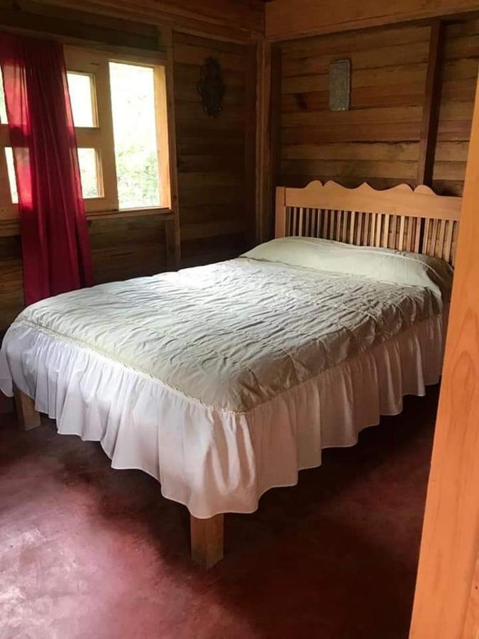 Cabanas Tonina Kayab オコシンゴ エクステリア 写真